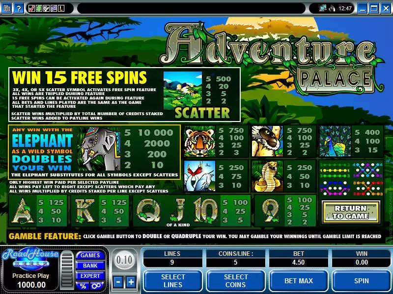 Info and Rules - Adventure Palace Microgaming Slots Game