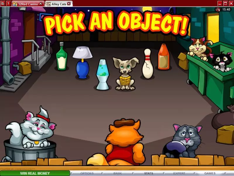 Bonus 2 - Alley Cats Microgaming Slots Game