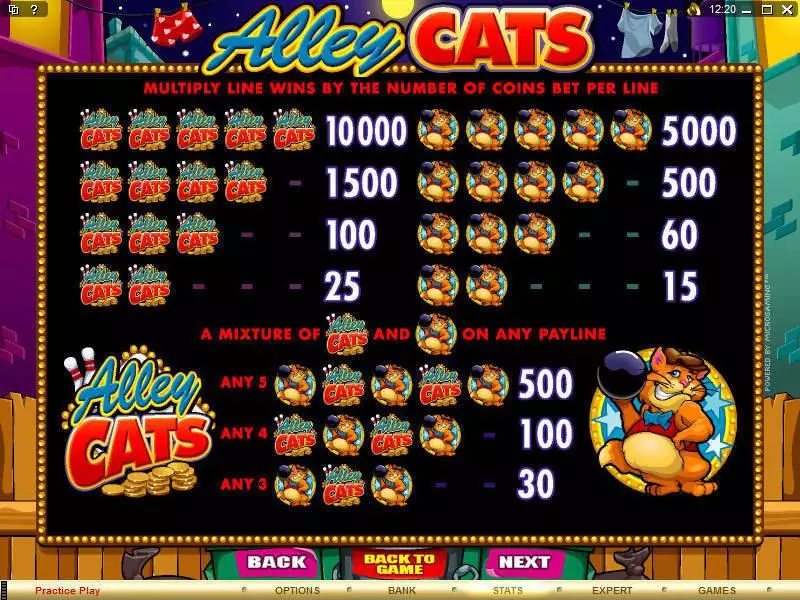 Info and Rules - Alley Cats Microgaming Slots Game
