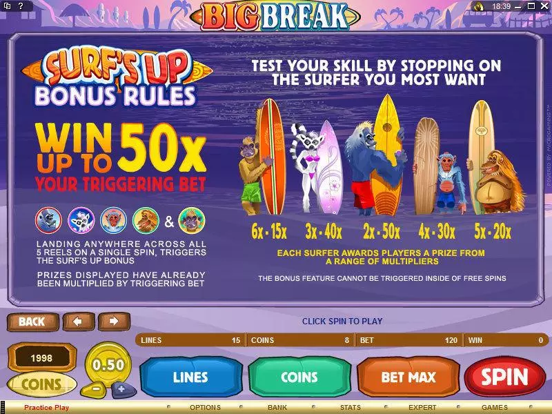 Info and Rules - Big Break Microgaming Slots Game