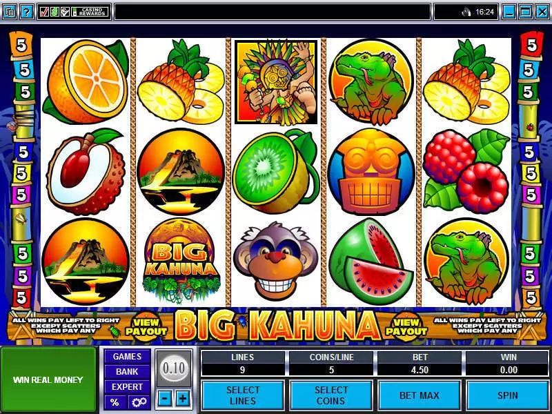 Main Screen Reels - Big Kahuna Microgaming Slots Game