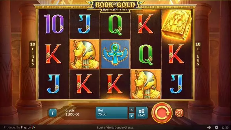 Main Screen Reels - Book of Gold: Double Chance Playson Slots Game