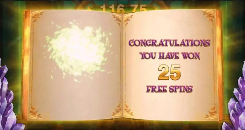 Free Spins Feature - Book of Oz Lock ‘N Spin Microgaming Slots Game