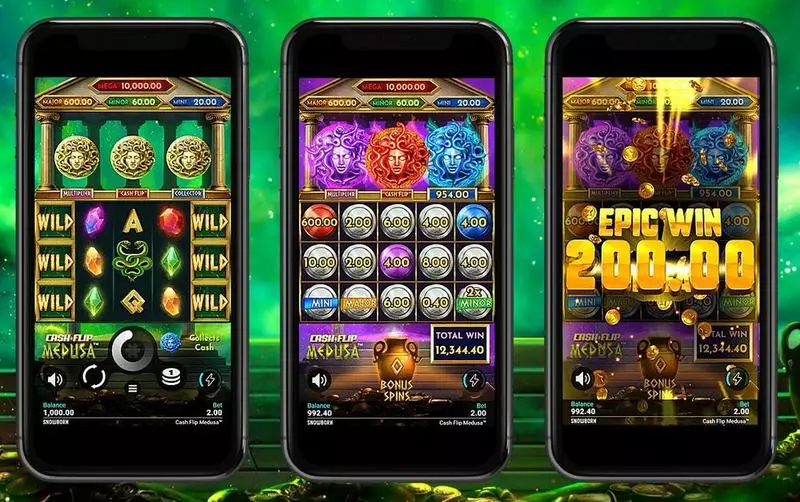 Introduction Screen - Cash Flip Medusa Snowborn Games Slots Game