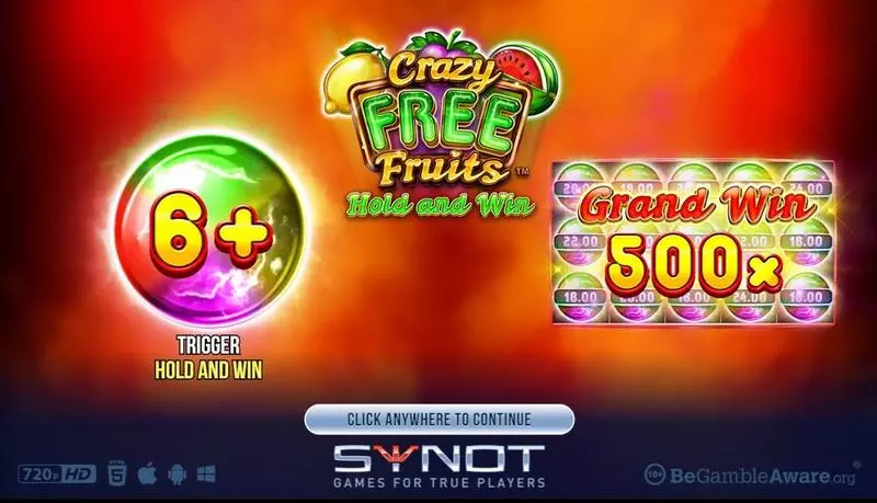Introduction Screen - Crazy Free Fruits Synot Games Slots Game