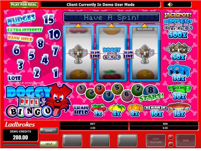 Main Screen Reels - Doggy Reel Bingo Microgaming Slots Game