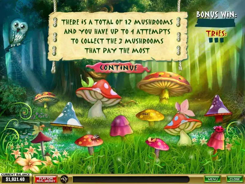 Bonus 1 - Forest of Wonders PlayTech Slots Game