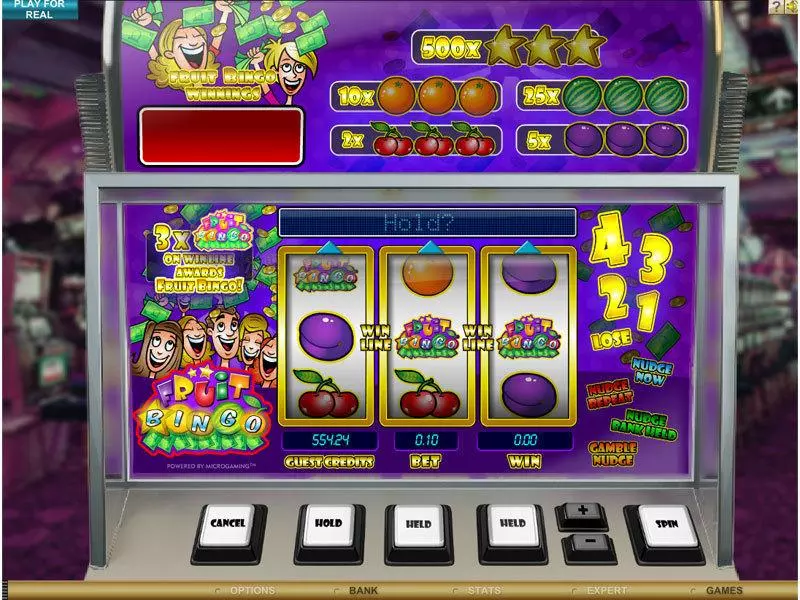 Main Screen Reels - Fruit Bingo Microgaming Slots Game