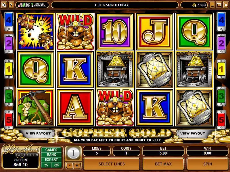 Main Screen Reels - Gopher Gold Microgaming Slots Game