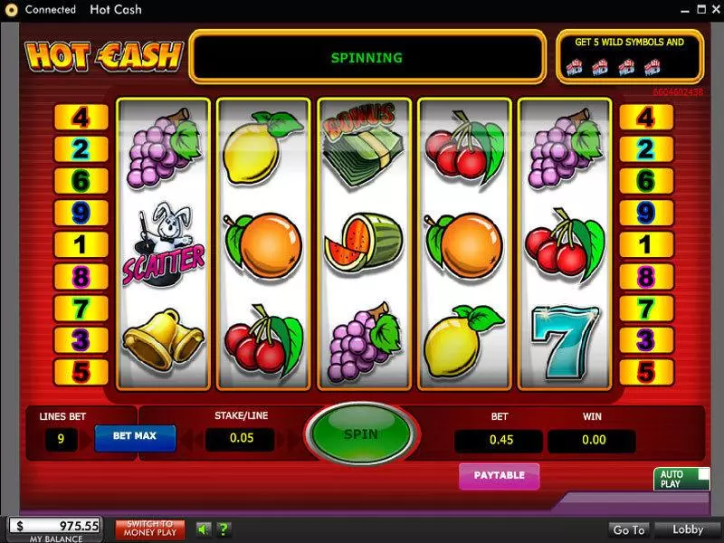 Main Screen Reels - Hot Cash 888 Slots Game