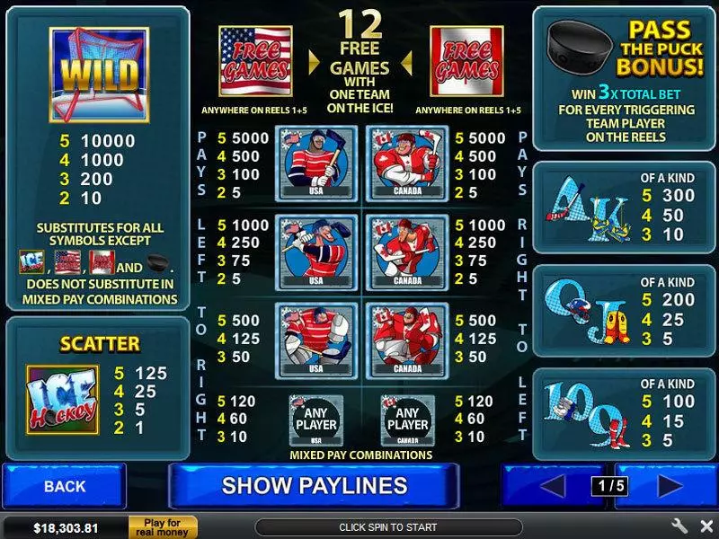 Info and Rules - Ice Hockey PlayTech Slots Game