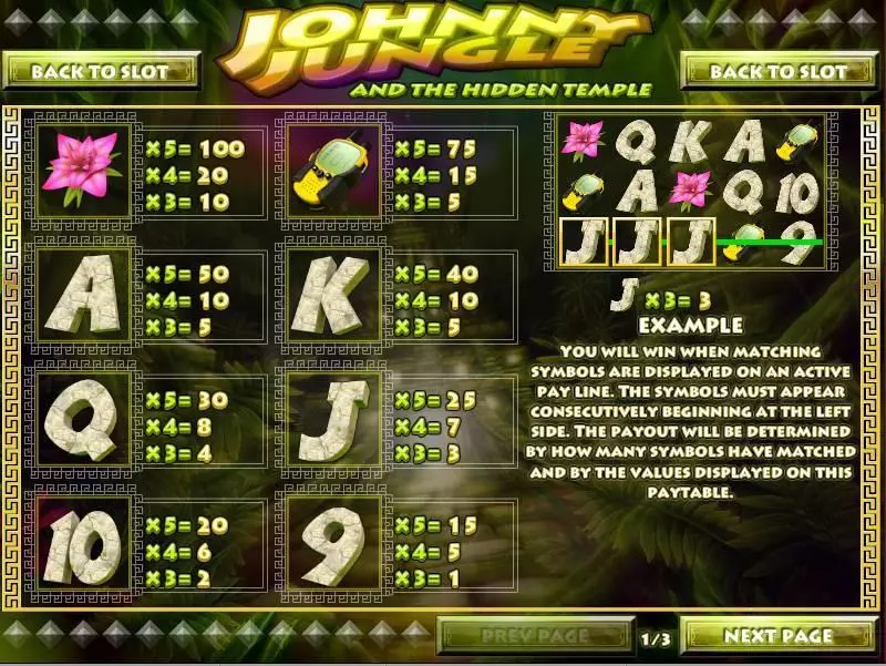 Info and Rules - Johnny Jungle Rival Slots Game