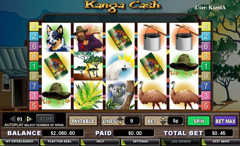 Main Screen Reels - Kanga Cash CryptoLogic Slots Game