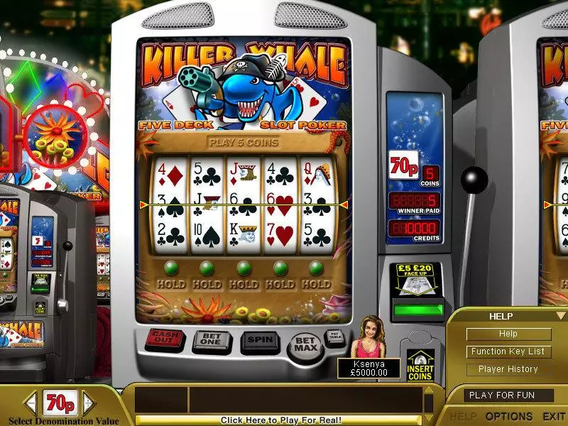 Main Screen Reels - Killer Whale Poker Boss Media Slots Game