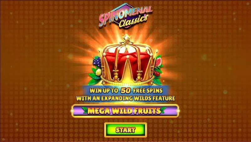 Introduction Screen - Mega Wild Fruits Spinomenal Slots Game