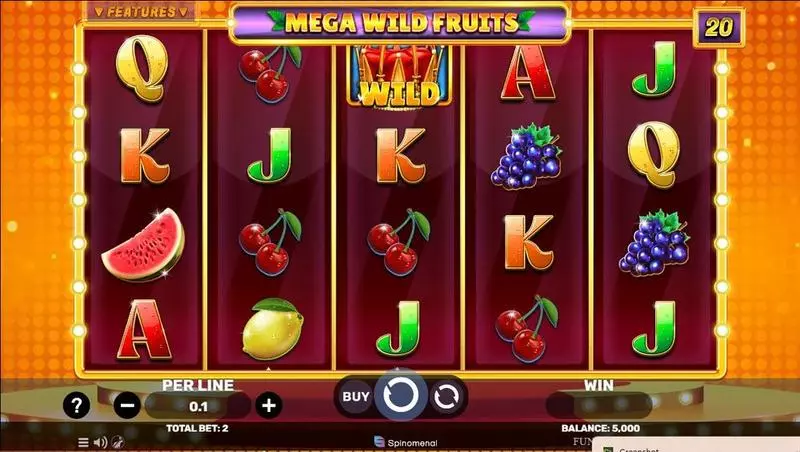 Main Screen Reels - Mega Wild Fruits Spinomenal Slots Game