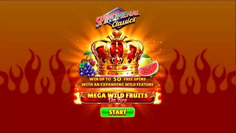 Introduction Screen - Mega Wild Fruits – On Fire Spinomenal Slots Game