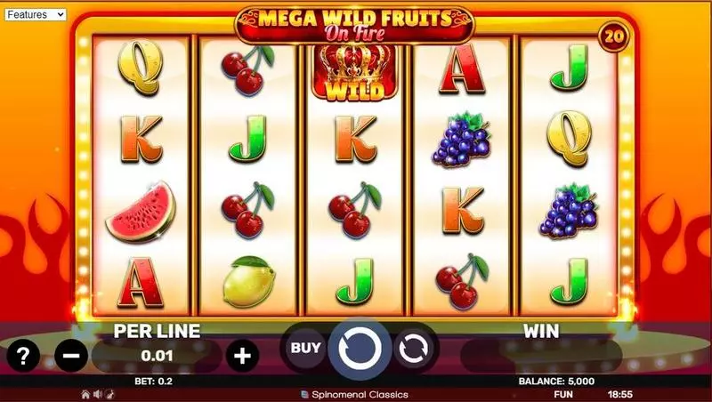 Main Screen Reels - Mega Wild Fruits – On Fire Spinomenal Slots Game