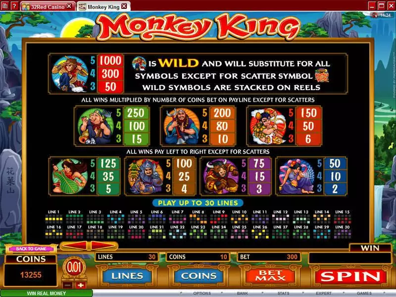 Info and Rules - Monkey King Microgaming Slots Game