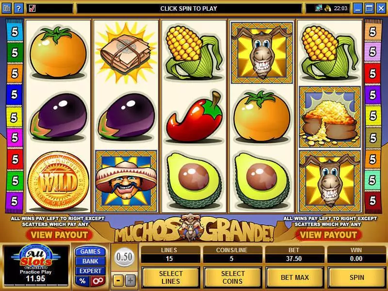 Main Screen Reels - Muchos Grande Microgaming Slots Game