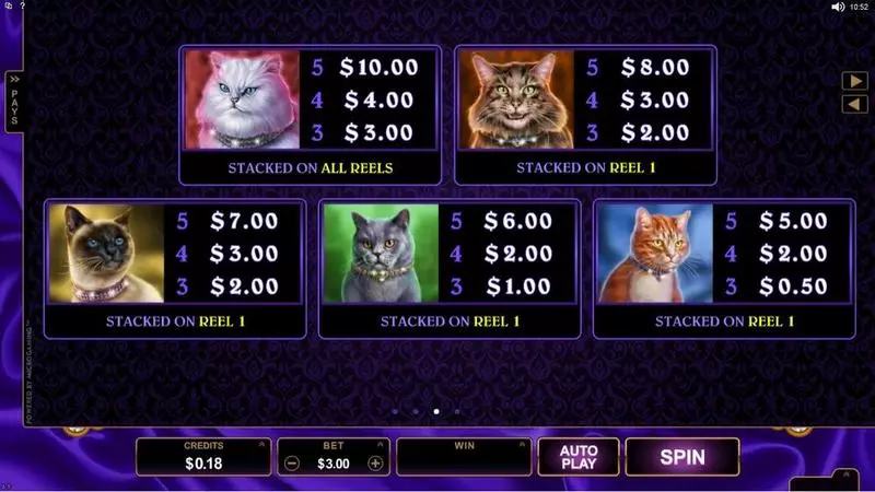 Info and Rules - Pretty Kitty Microgaming Slots Game