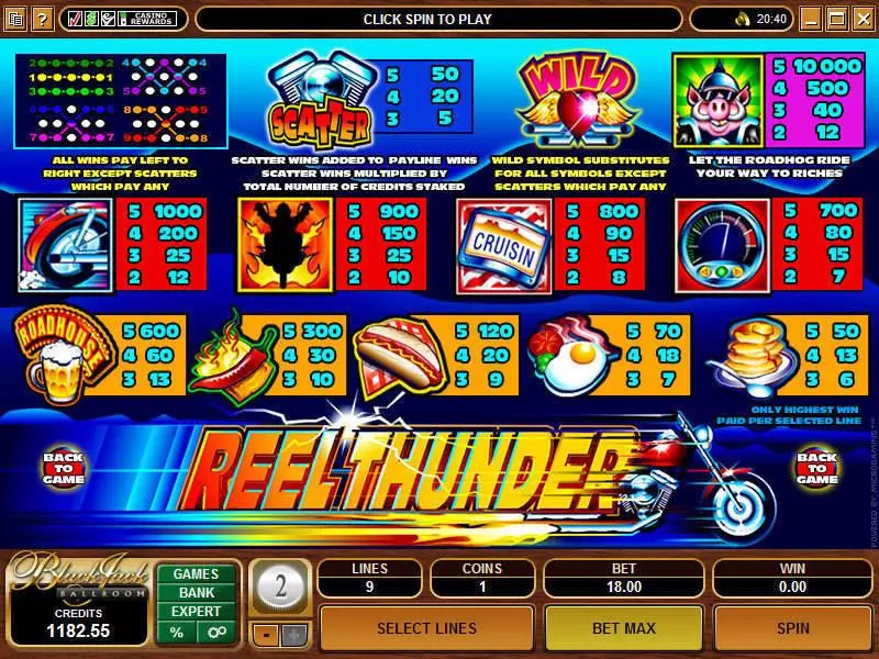 Info and Rules - Reel Thunder Microgaming Slots Game