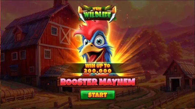 Introduction Screen - Rooster Mayhem Spinomenal Slots Game