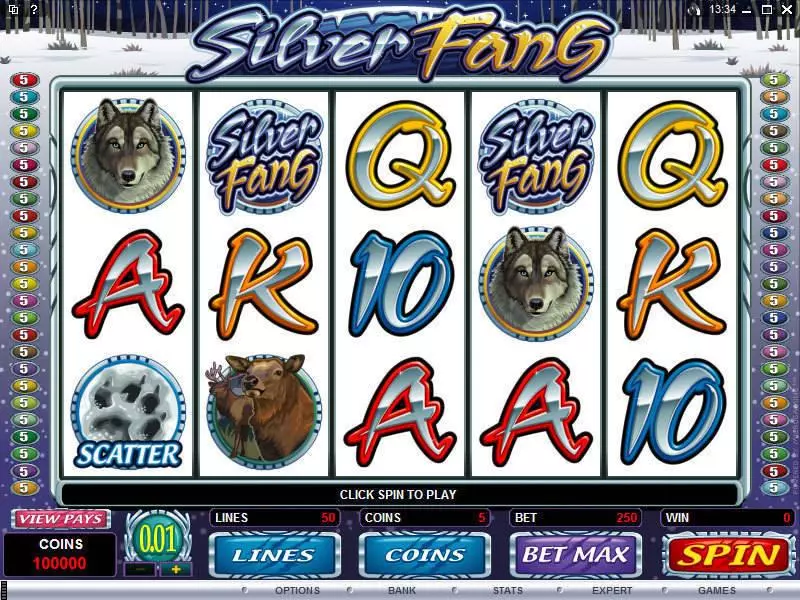 Main Screen Reels - Silver Fang Microgaming Slots Game
