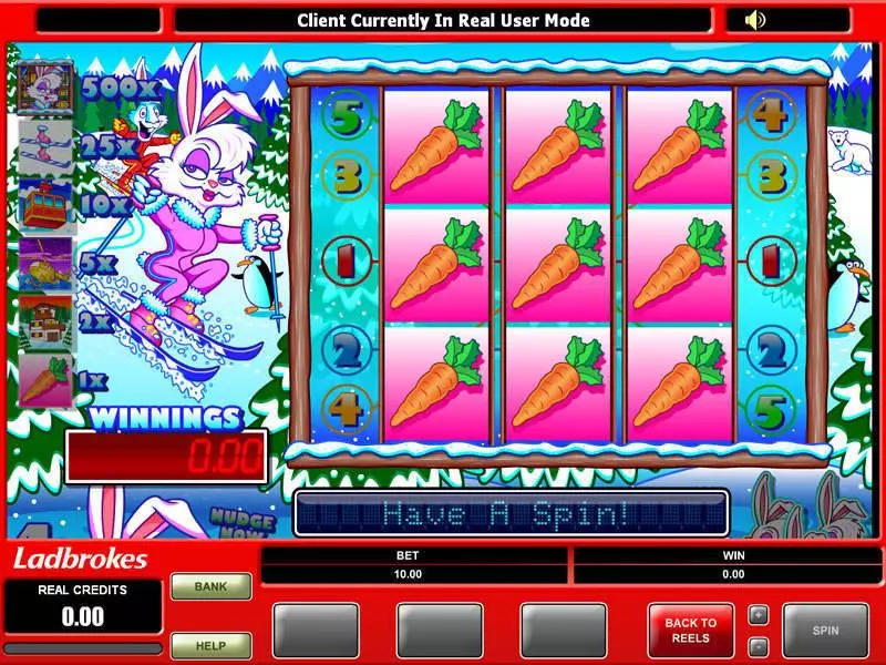 Bonus 1 - Ski Bunny Microgaming Slots Game
