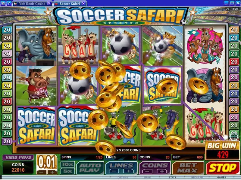 Bonus 1 - Soccer Safari Microgaming Slots Game