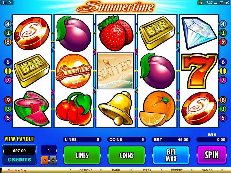 Main Screen Reels - Summertime Microgaming Slots Game