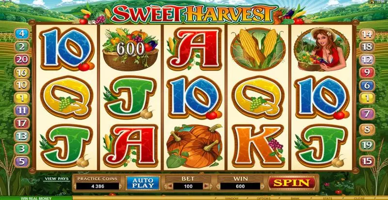 Bonus 1 - Sweet Harvest Microgaming Slots Game