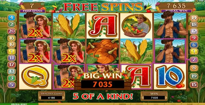 Bonus 2 - Sweet Harvest Microgaming Slots Game