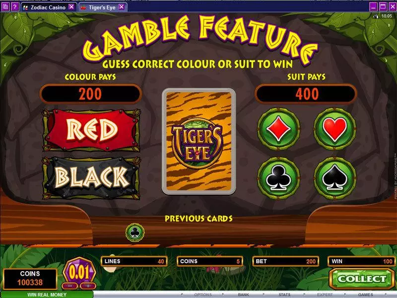 Gamble Screen - Tiger's Eye Microgaming Slots Game