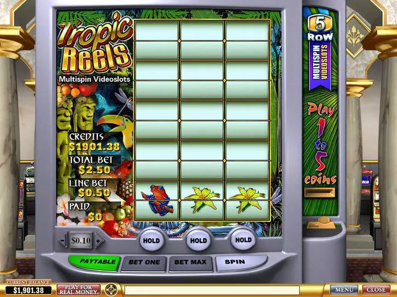 Main Screen Reels - Tropic Reels PlayTech Slots Game