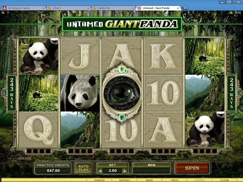 Main Screen Reels - Untamed - Giant Panda Microgaming Slots Game