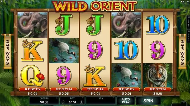 Introduction Screen - Wild Orient Microgaming Slots Game
