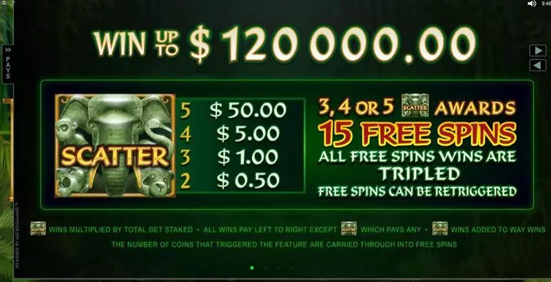 Info and Rules - Wild Orient Microgaming Slots Game