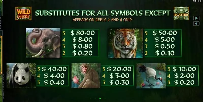 Info and Rules - Wild Orient Microgaming Slots Game