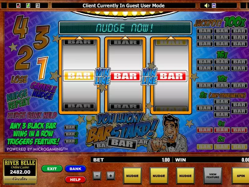 Main Screen Reels - You Lucky Barstard Microgaming Slots Game